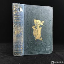 藏书票！1864年 《英国鸟类史》卷2（《A History f British Birds》 ）布面精装毛边本 扉页藏书票 书脊封面烫金 Rev.F..Morris,B.A. 著，内含60张彩色版画