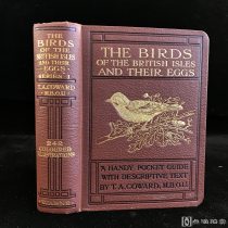 彩色插图本！1921年英国出版《不列颠岛屿鸟类和鸟蛋》(he Birds of the British Isles and heir Eggs )242张彩色插图 65幅黑白插图  收藏研究佳品