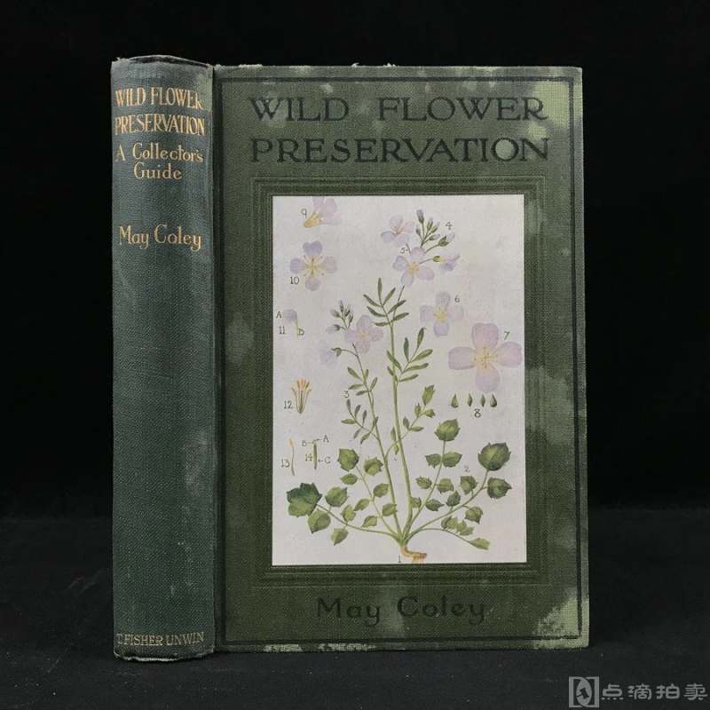 1913年 野花标本收藏者指南 29幅插图 漆布精装32开 封面贴画