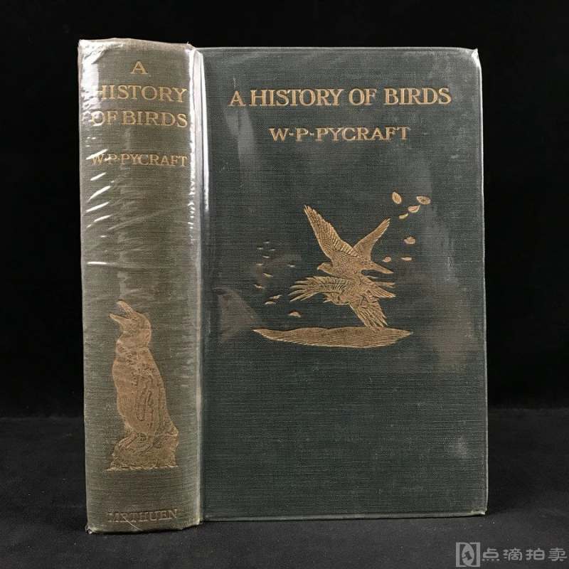 1910年 鸟类的历史 近百幅插图 漆布精装大32开 封面书脊烫金压花