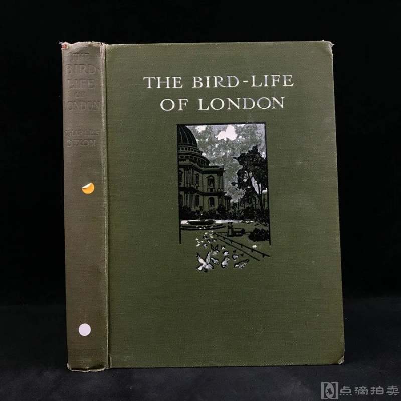1909年 伦敦鸟类图鉴 24页插图 漆布精装大32开 封面贴画