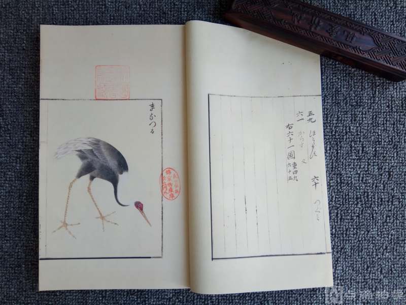 影印19世纪绘本：华鸟谱，日本博物学家服部雪斋绘，描绘食用禽类61种，1册，宣纸线装